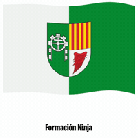 Comunidad Valenciana Valencia GIF by Formación Ninja