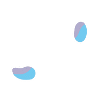 Pkc Nastejnevlne Sticker