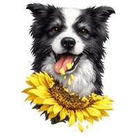 Fun Love Sticker by abana a cauda