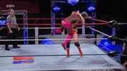 Slam Finisher GIF by United Wrestling Network