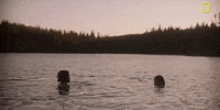 Episode 2 Swimming GIF by National Geographic Channel