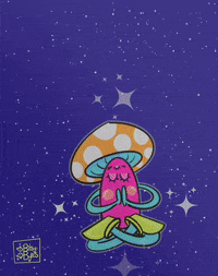 MycoValley trippy mushroom mycovalley GIF