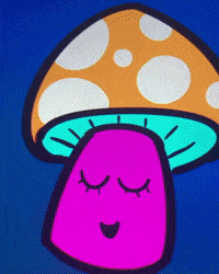 MycoValley trippy mushroom mycovalley GIF
