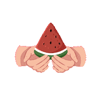 nizart_palette flag freedom watermelon national Sticker
