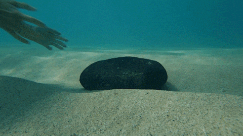 Rock Running GIF by FOX TV