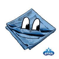 Thermostar clean window promotion werbung Sticker