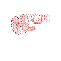 Racing Lausitz Sticker by Lausitz-Racing