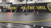 Wrestling Bjj GIF by Droogs MMA and Jiu Jitsu