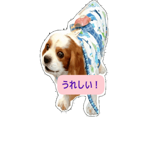 Cavalierkingcharlesspaniel Sticker