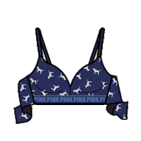 vspink Sticker by Victoria's Secret PINK