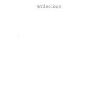 Summer Frame Sticker by Haloscoop