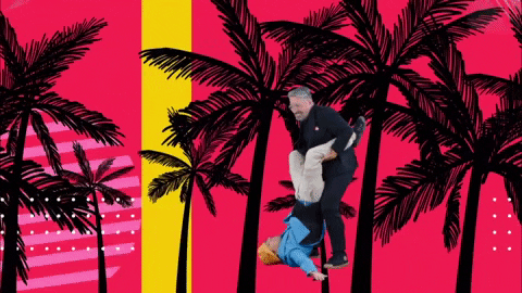 GIF by Taskmaster Portugal