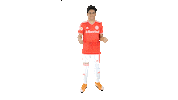 Vamointer Diadeinter Sticker by Sport Club Internacional