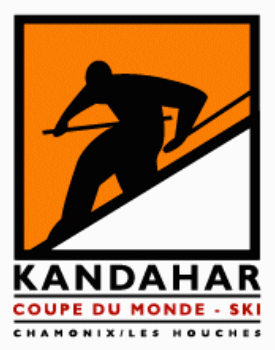 ChamonixWorldCup giphyupload ski chamonix skiworldcup GIF