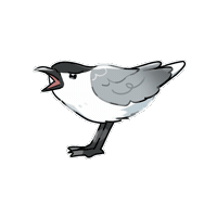 Firuo_drawingbirds Tern 燕鷗 gull-billed tern gelochelidon nilotica Sticker
