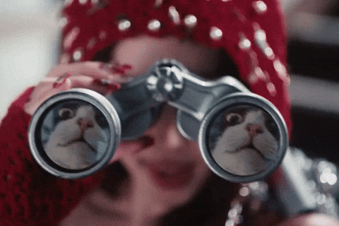 This Is For GIF