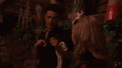 season 5 bip GIF by Bachelor in Paradise