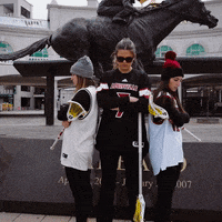 University Of Louisville Sport GIF by Louisville Cardinals