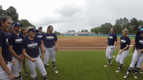 vwu_marlins giphyupload marlins vwu wethebeach GIF