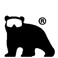 Ski Snowboarden Sticker by PanArt