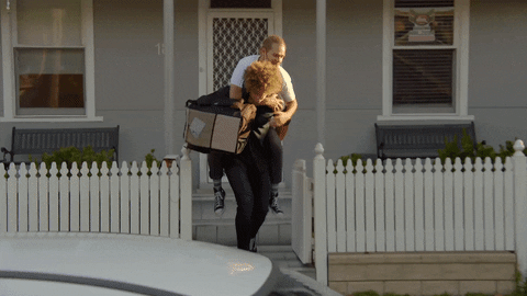 Friends Will GIF by Celebrity Apprentice Australia