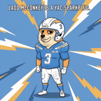 Shiba Inu Football GIF by Doge Pound