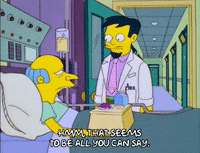 Episode 1 GIF by The Simpsons