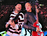 Wildflower GIF by 5 Seconds of Summer