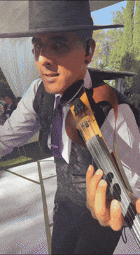 HatManOficial violin Guiño hatman GIF