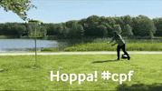 cityparkflyers  GIF