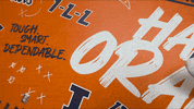 Illinois Universityofillinois GIF by Fighting Illini Athletics