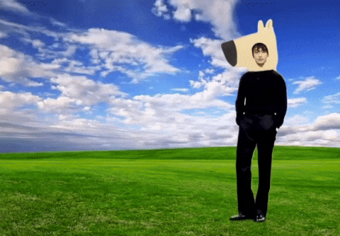 Dk 세븐틴 GIF