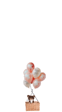 dog balloon Sticker by MISO PUP