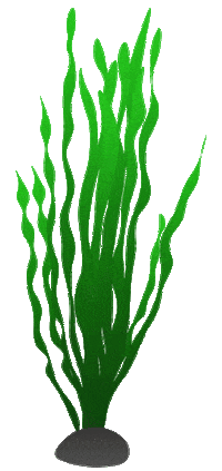 Plant Sticker by AQUAEL