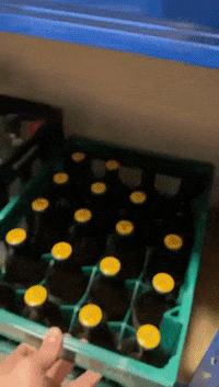 StreamEins beer live thumbs up bier GIF