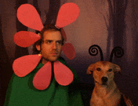 Flower And Pollinator