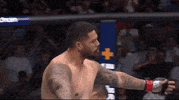 Mixed Martial Arts Dancing GIF by UFC