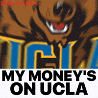 Ucla Bruins GIF by Bovada
