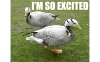 happy i'm so excited GIF