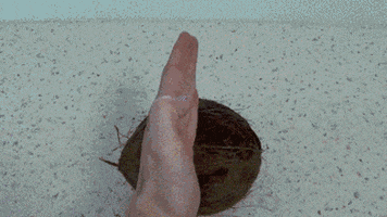 hands coconut GIF