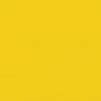 Celebration Win GIF by Raiinmaker