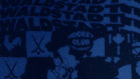 Hockey Tor GIF by Iserlohn Roosters