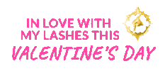 Lash Make Up Sticker by Pinky Goat Lashes