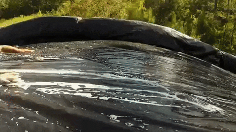 cmt GIF by Redneck Island