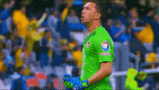 happy liga mx GIF by Club America