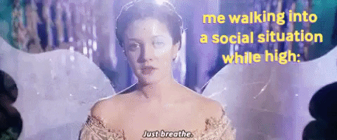 ellenf giphygifmaker meme weed high GIF