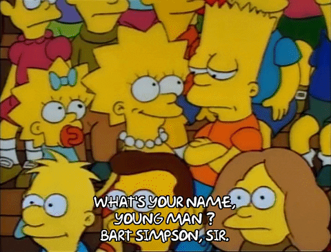 Season 1 GIF by The Simpsons