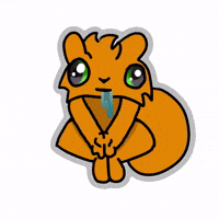 Sky_thegingersquirrel furry dumb squirrel furry art GIF