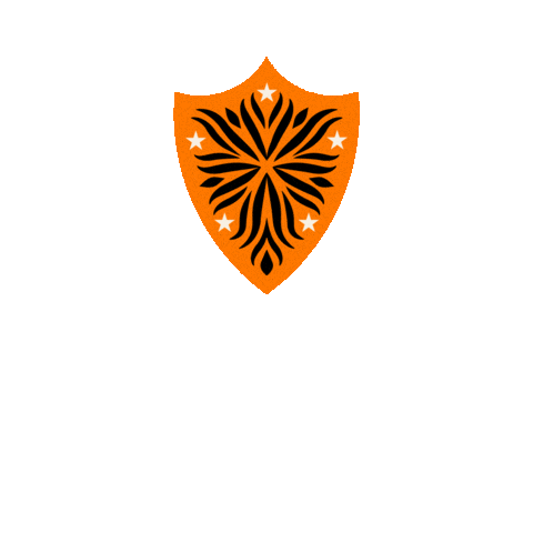 Princetonalumni Sticker by Princeton University