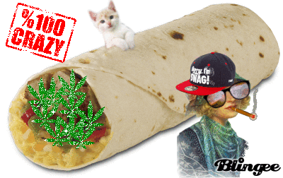 make nice GIF by dan 